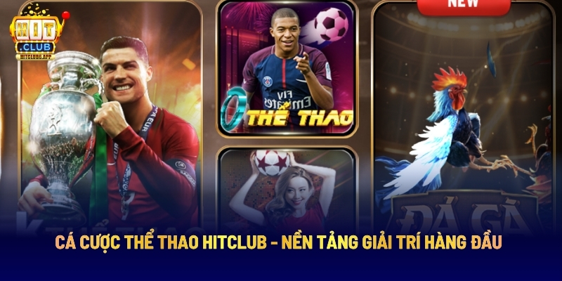 Cá Cược Thể Thao Hitclub - Nền Tảng Giải Trí Hàng Đầu