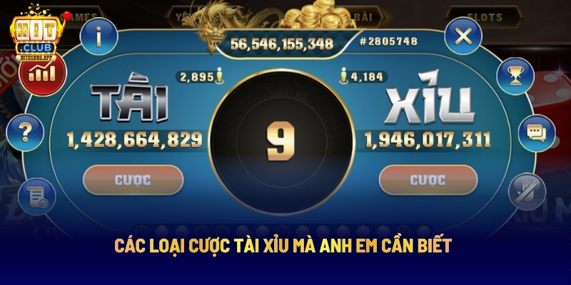 Các Loại Cược Tài Xỉu Mà Anh Em Cần Biết