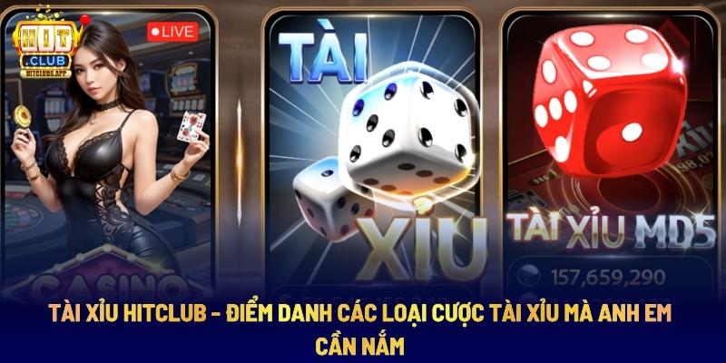 Tài Xỉu Hitclub - Điểm Danh Các Loại Cược Tài Xỉu Mà Anh Em Cần Nắm